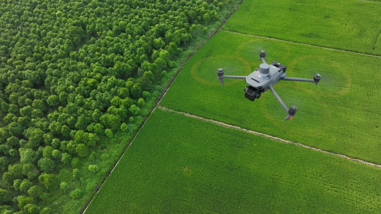 DJI Mavic 3 Multispectral flying over fields